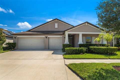 10804 CRUSHED GRAPE DRIVE, RIVERVIEW, FL 33578