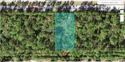 1103 JAPONICA AVENUE, INDIAN LAKE ESTATES, FL 33855