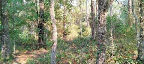 SW 151ST PLACE, DUNNELLON, FL 34432