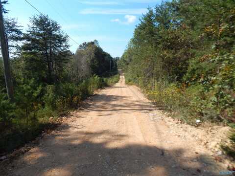 Lot 43 County Road 369, Fort Payne, AL 35967