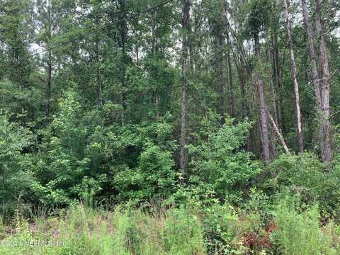 2373 BROOM Court, Middleburg, FL 32068