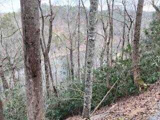 Fugue Drive, Ellijay, GA 30540