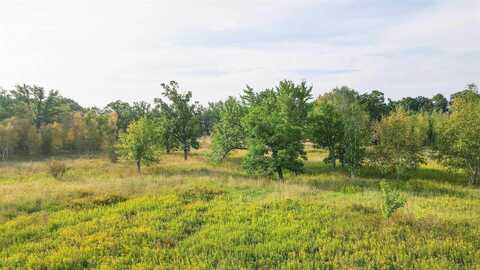 60 Acres COUNTY ROAD II, Rudolph, WI 54475