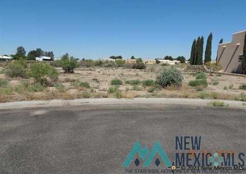 000 Slice Road, Deming, NM 88030