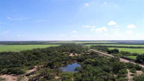 Tbd County Road 118, Coleman, TX 76834