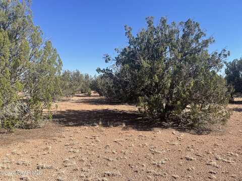 31718 Bluebonnet Lane, Seligman, AZ 86337