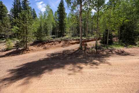 416 Willow Rd, Divide, CO 80814