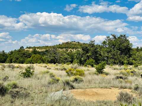 XX Latigo Loop, Pie Town, NM 87827