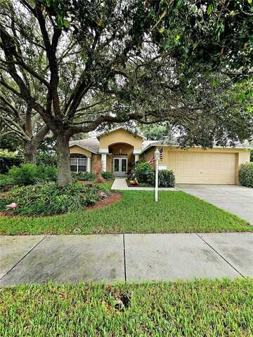 1434 FALLOWFIELD DRIVE, TRINITY, FL 34655