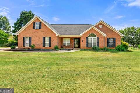 234 Thorne Wood Lane, Hampton, GA 30228