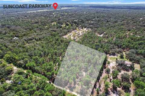 4716 W Herman Court, Homosassa, FL 34446