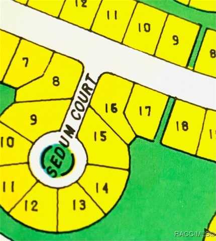 5 Sedum Court, Homosassa, FL 34446