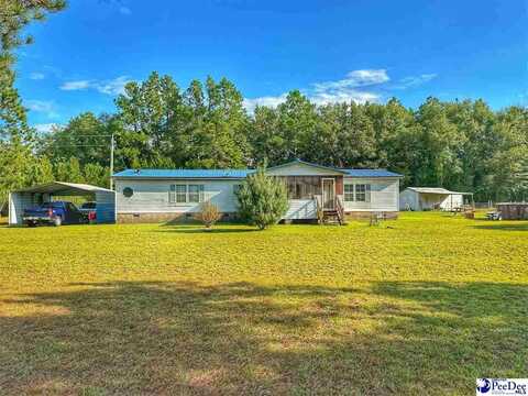 158 Hampton Circle, Blenheim, SC 29516