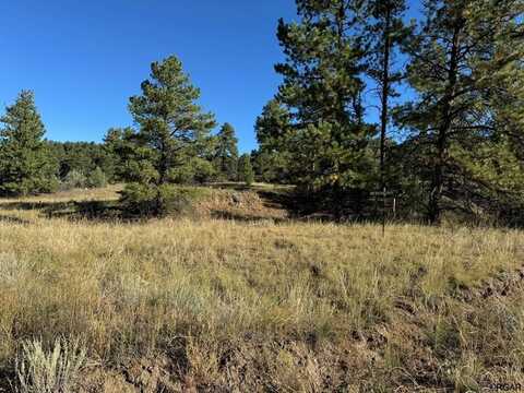 335 Silver Lane, Cotopaxi, CO 81223