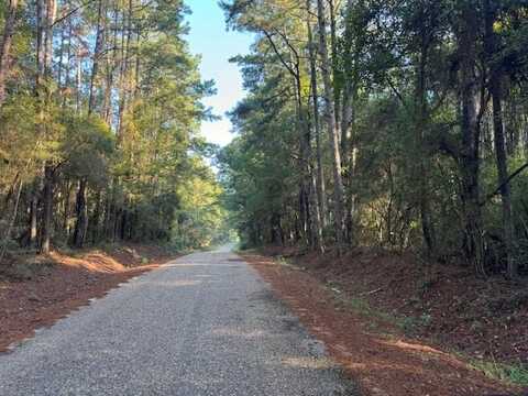 TBD Cemetery Road, Tylertown, MS 39667