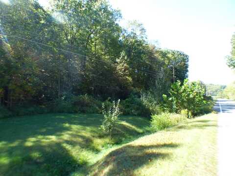 Tbd Grayson Turnpike, Wytheville, VA 24382