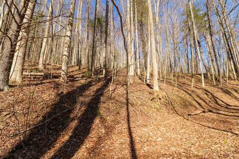 T6 & T 7 North Ledge Trail, Fancy Gap, VA 24328