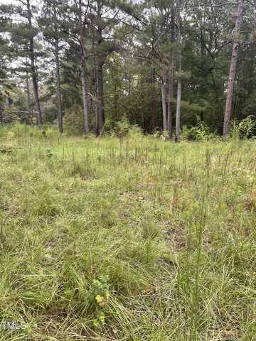 Lot 30 Creek Bend Drive, Vass, NC 28394