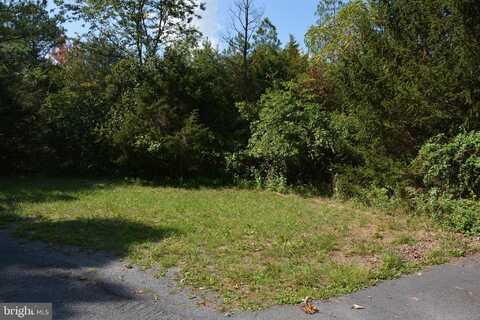 25+ Acres BLUE RIDGE LANE, WINCHESTER, VA 22602