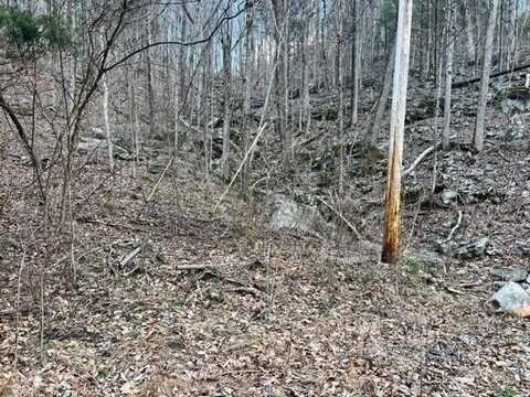 2 Lots Golf Ln, LIVINGSTON, TN 38570