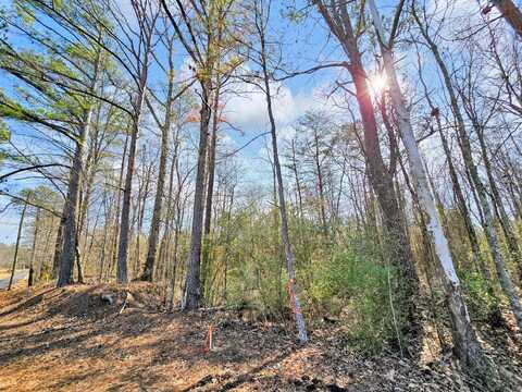 LOT 3 DUNCAN Rd, Nauvoo, AL 35578