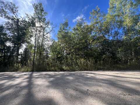 39 E Roberta Drive, Roscommon, MI 48653