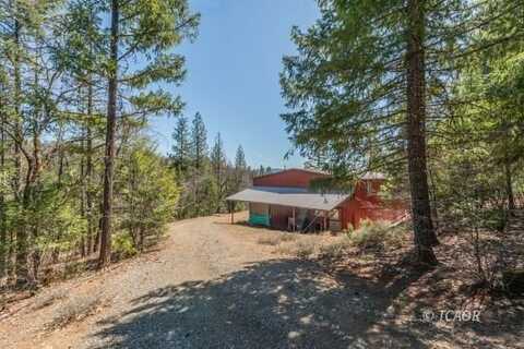 321 Black Bear Rd, Weaverville, CA 96093