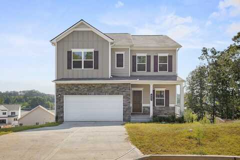 463 Treadstone Drive, Tunnel Hill, GA 30755