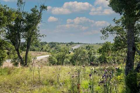 Lot 21 Canyon Dr., Fredericksburg, TX 78624