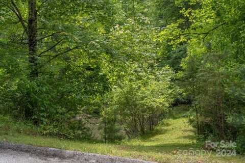 Lot #27 & 24 Awi Trail, Hendersonville, NC 28739