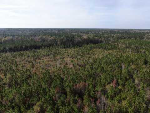 00 Happy Hill Tract, Alapaha, GA 31622