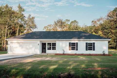 22 BLUEBERRY ST, Baxley, GA 31513