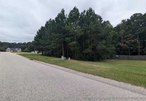 Tbd 282 Falling Leaf Drive, Raeford, NC 28376