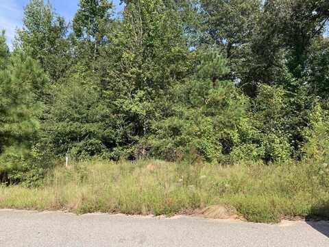 2662 NEW HOPE Circle, Hephzibah, GA 30815