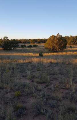 Rnch Vw Lp, Carrizozo, NM 88301