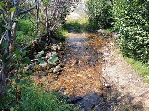 Rainey Mountain Road, Polaris, MT 59746