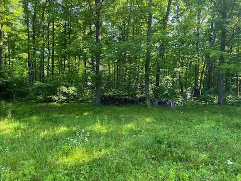 N9061 SCHMIDT DR, Pickerel, WI 54465