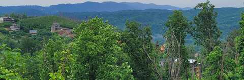 635 Wiley Oakley Drive, Gatlinburg, TN 37738