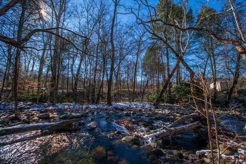 Lot 35 S Hwy 32 Highway, Cosby, TN 37722
