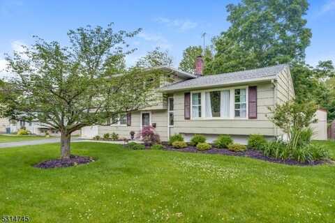 41 Hemlock Ter, Springfield, NJ 07081