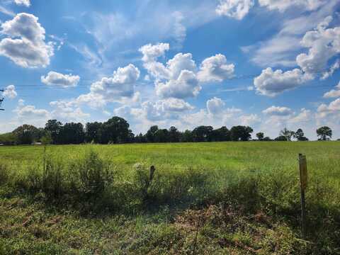 LOT 20 CR 3250, Mount Pleasant, TX 75455