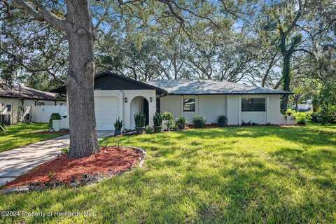 2004 Nobleton Avenue, Spring Hill, FL 34606