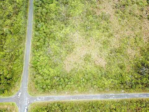 APUAKEHAU RD, VOLCANO, HI 96785