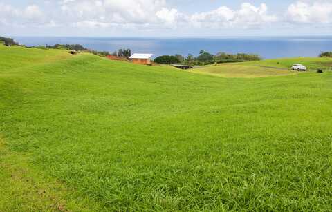 36-3358 KUWILI LANI PL, LAUPAHOEHOE, HI 96764