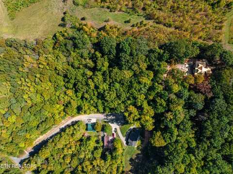 319 Muscadine Court, Sevierville, TN 37876