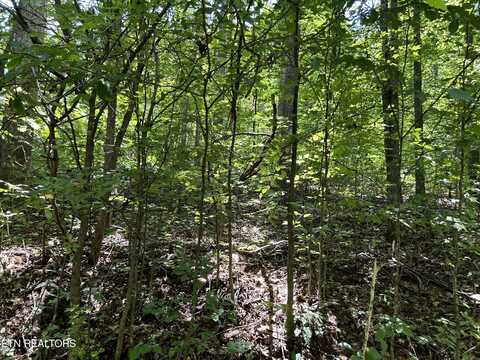 Pearl Lot 5 Lane, Maynardville, TN 37807