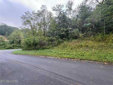 Pheasant Court, Sevierville, TN 37876