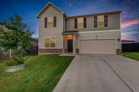 14113 Jared Argo CV, Manor, TX 78653