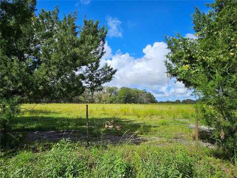 000 COUNTY ROAD 65, BUNNELL, FL 32110