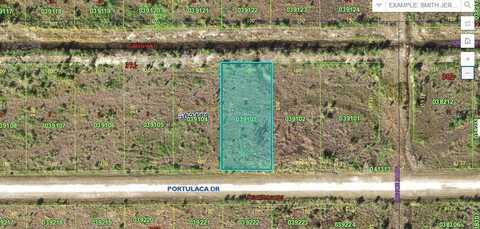 506 PORTULACA DRIVE, INDIAN LAKE ESTATES,, FL 33855